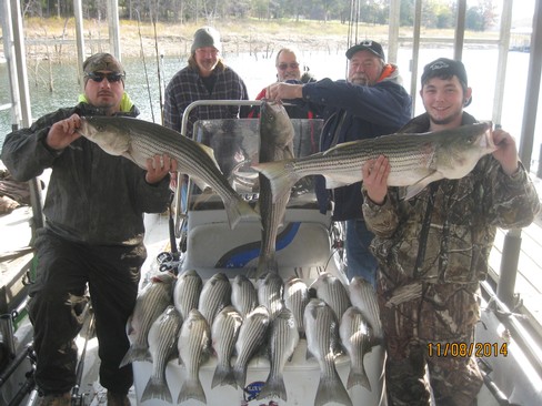 Nice Striped Bass